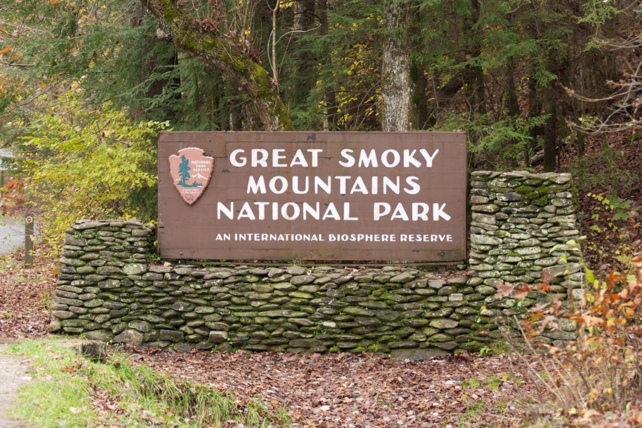 Heavenly Bear, Hot Tub, 1089 Of Free Attraction Tickets For Each Paid Day, Dollywood And More Sevierville Ngoại thất bức ảnh